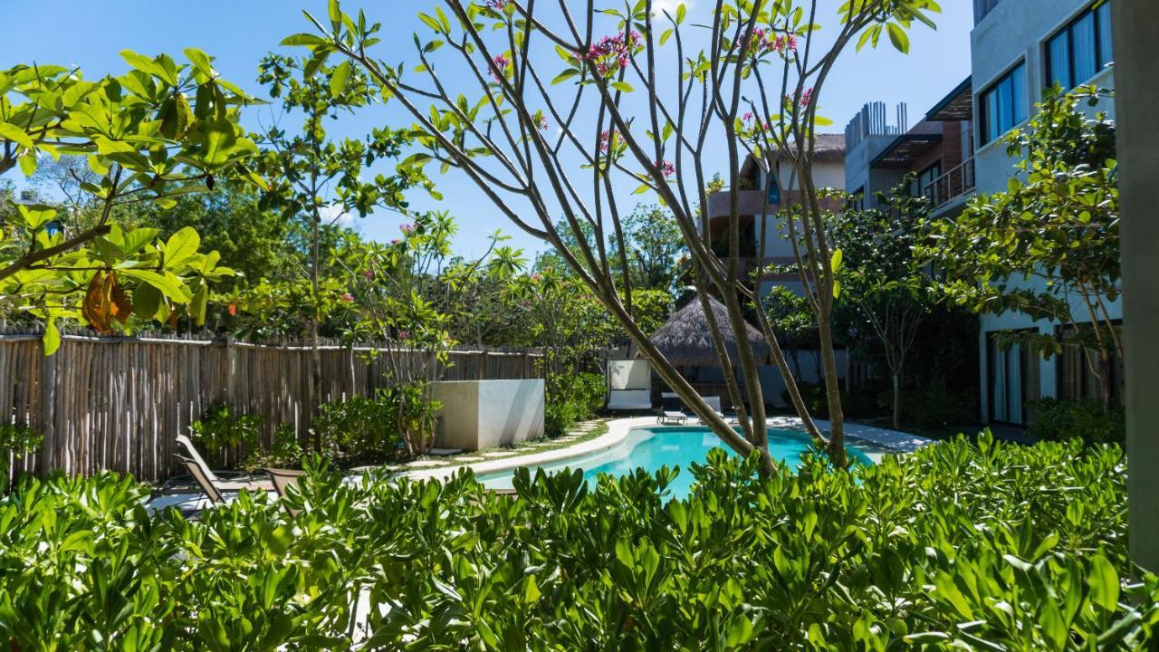 Appart hôtel Macondo